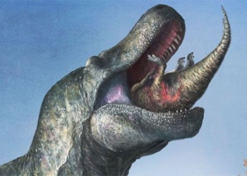 discovery shock about the mimic monster 66 million years ago 126704