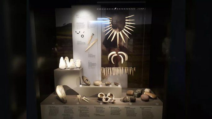 Treasure "funerary goods of the wizard" displayed at the Wiltshire Museum