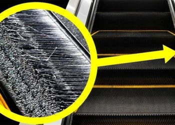 do you know the function of the bottle holding the staircase 126561