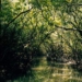 dong nai wetland animals under threat 6395