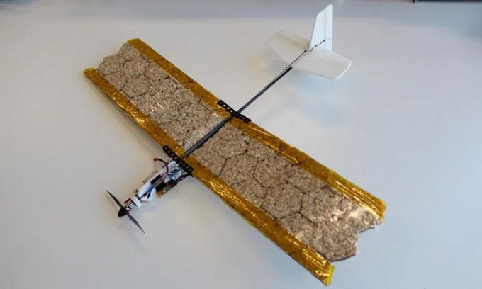 Drone model with wings made from rice cakes.