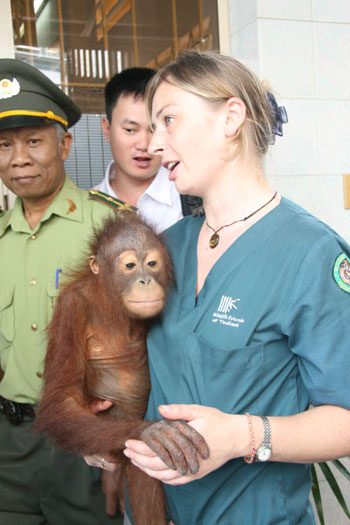 Handing over to the wildlife rescue organization