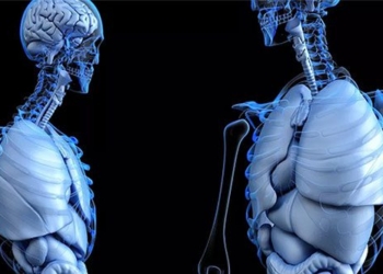 dutch doctors discover new organ in human body 125073