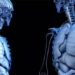 dutch doctors discover new organ in human body 125073