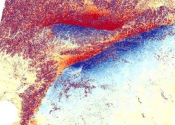 earthquake thor nik creates long 300km 125760