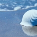 eco friendly helmet design made from biodegradable materials 124827
