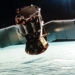 establishing the vietnam space committee 6474