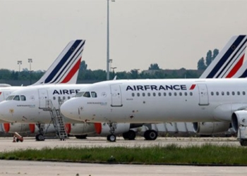 europe animals replace planes with trains 126303
