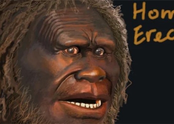 evidence shows humans traveled by boat to the aegean islands 450000 years ago 124909