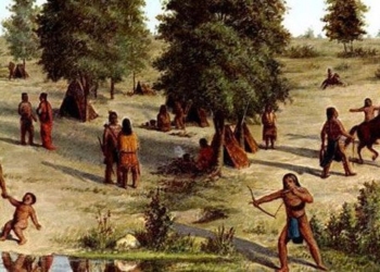 explaining the issue of animals eating other species before evolution like today 125151
