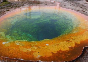 explore the secrets of aquatic organisms in the luu huynh spring 125143
