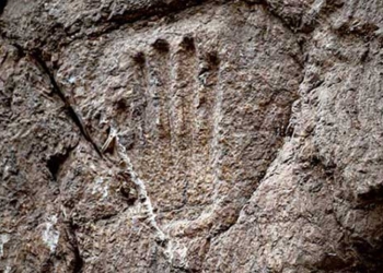 find the missing finger under the hao 1 000 years 125525