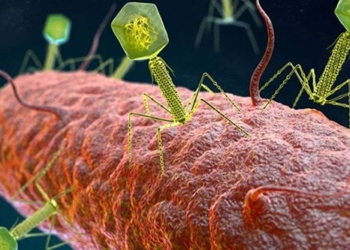 find treatment methods for illness in private places 125012