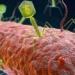 find treatment methods for illness in private places 125012
