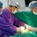 first time vietnam successfully grafts thymus for a patient 126009