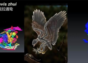 flower stone bird has the same number as dinosaur 125115