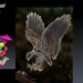 flower stone bird has the same number as dinosaur 125115