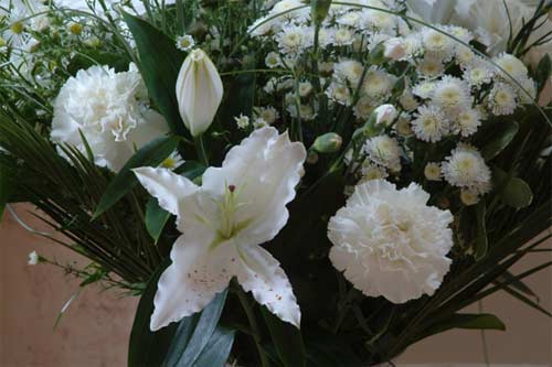 flower11