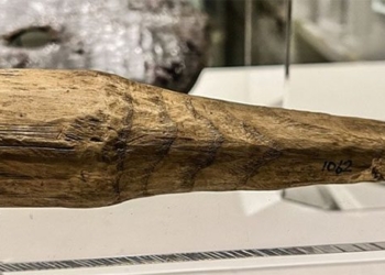 found 2000 year old artifact is sex toy supposedly 125942