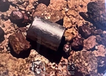 found a dangerous snake in australia 125572