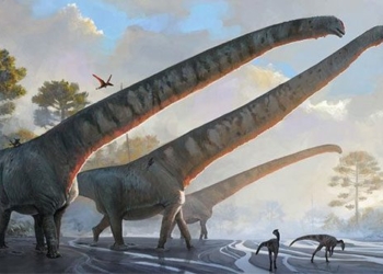 found super monster china 162 million years old only part coal 15m 126403
