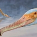 found the magic flower in the sky with nearly 500 teeth 125481