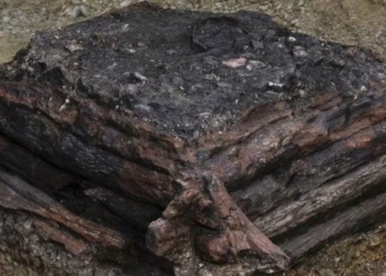 found wooden well 3 000 years old with many treasures in germany 125288