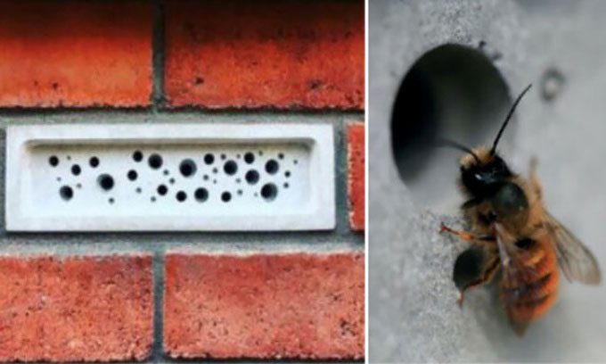 Holey bricks can make buildings more bee-friendly.
