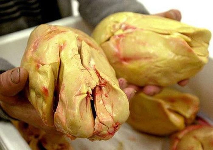 The cruel methods behind fatty foie gras