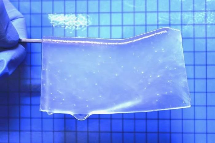 Hydrogel for Nerve Cell Regeneration