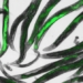 gene editing worms found in indoor air pollution 126131