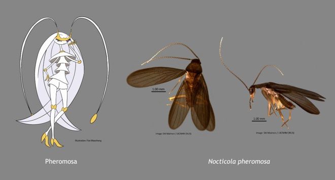 Pheromosa character from the Pokémon series.