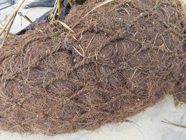 Close-up of a coconut fiber log.