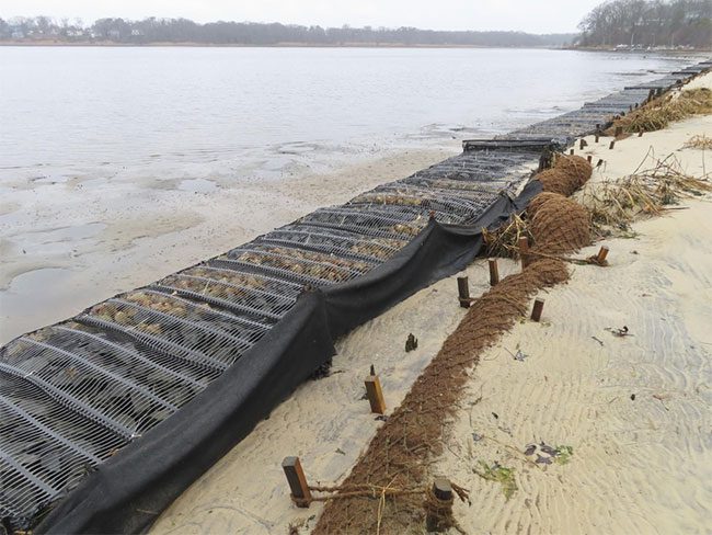 Coconut fiber logs installed along the Shark River in Neptune, New Jersey.