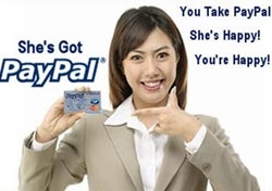 google launches free online payment system 6270