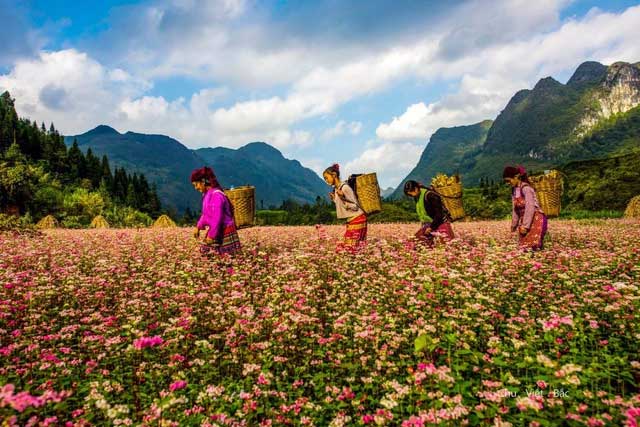 The natural beauty makes Ha Giang a favorite travel destination for tourists