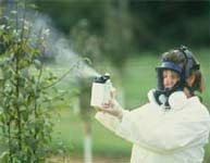 harmful chemical substances that can cause genetic diseases 6507