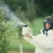 harmful chemical substances that can cause genetic diseases 6507