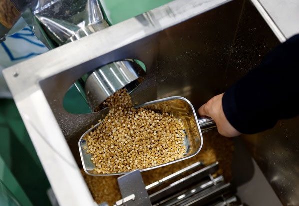 Rice-based plastic pellets at a factory in Namie.