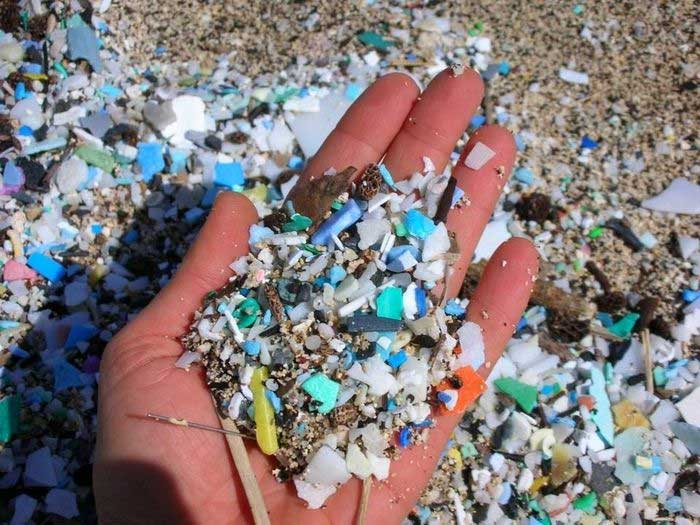 Microplastics can permeate body organs.