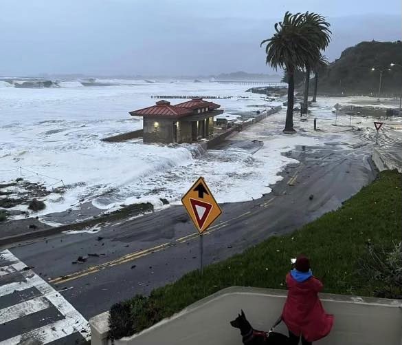 A beach in Santa Cruz devastated by the storm