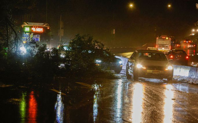 Vehicles navigate slick, tree-laden roads in San Francisco, California