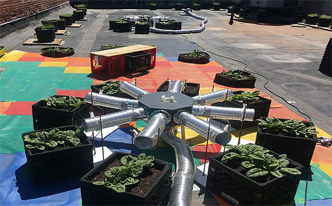 Rooftop gardening offers various ecological and financial benefits.