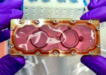 heart on chip will journey into space on spacex dragon ship tonight 126373