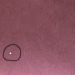 heavenly house records into the moon 126345