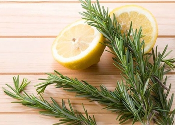 herbs used in cooking that reduce body fat by 85 prevent brain aging 125032