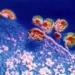 hiv dosing drug 7109