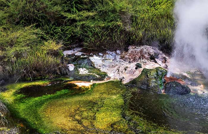 Tourists may find blue-green or green algae growing on the sides of the lake.