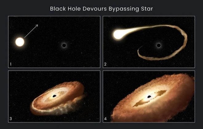 The process of the black hole "devouring" the star.