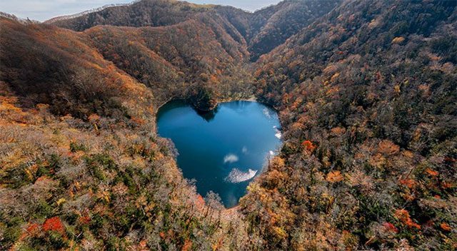 Toyoni Lake has appeared in many Japanese television commercials.